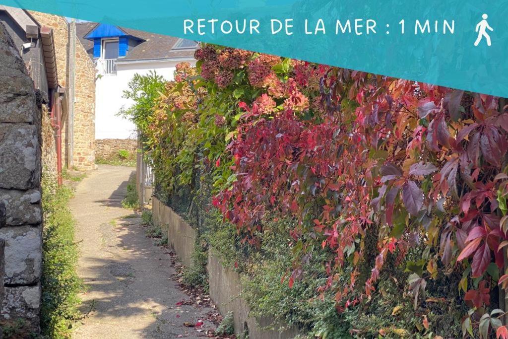 לארמור-באדן Ty Gavrinis - T2- Centre Bourg - 100M De La Mer מראה חיצוני תמונה